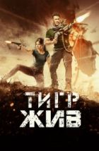 Тигр жив (2017)