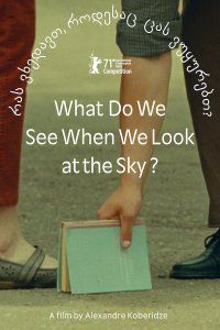 Что мы видим, когда смотрим на небо? (2021), 2021