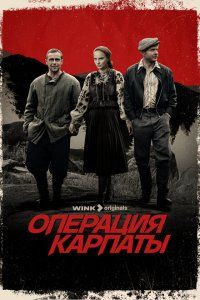 Операция «Карпаты» (2024), 2024